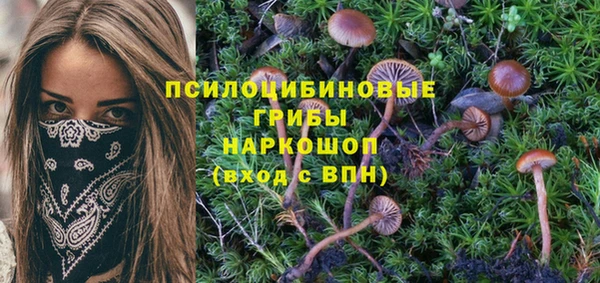 мескалин Верея